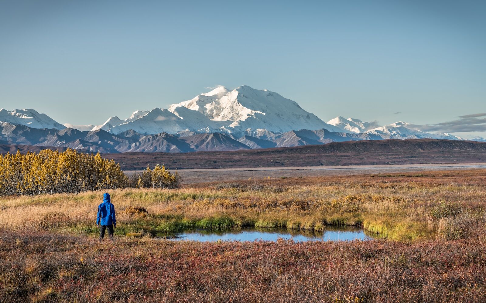 man hiking in denali national park