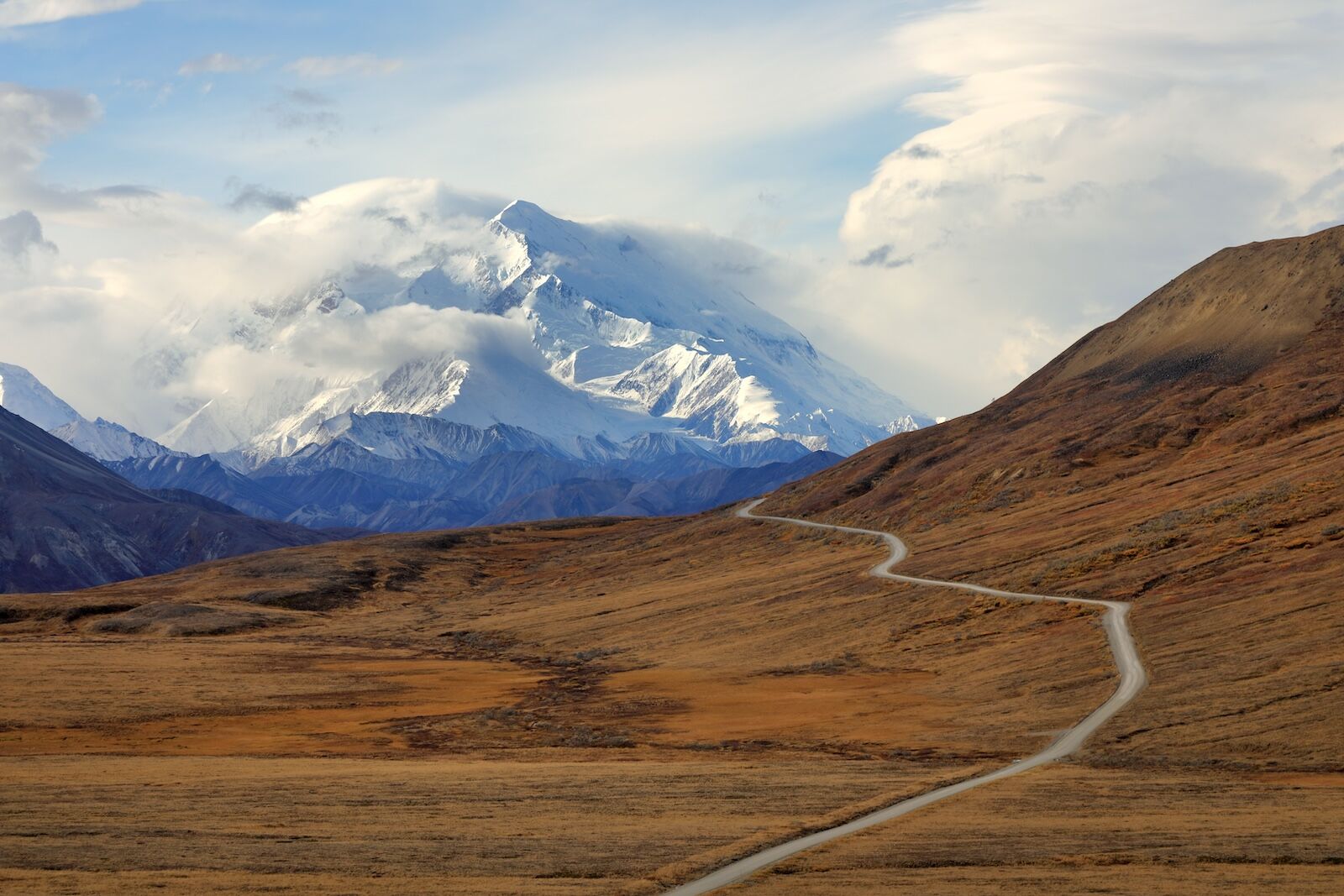 road through denali national park