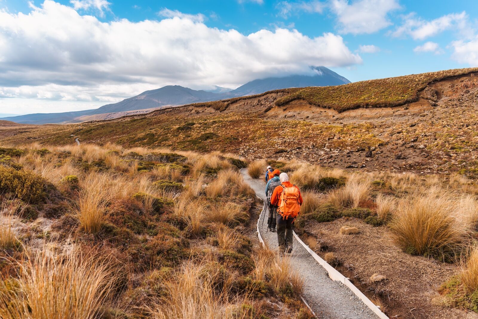trekkers in new zealand