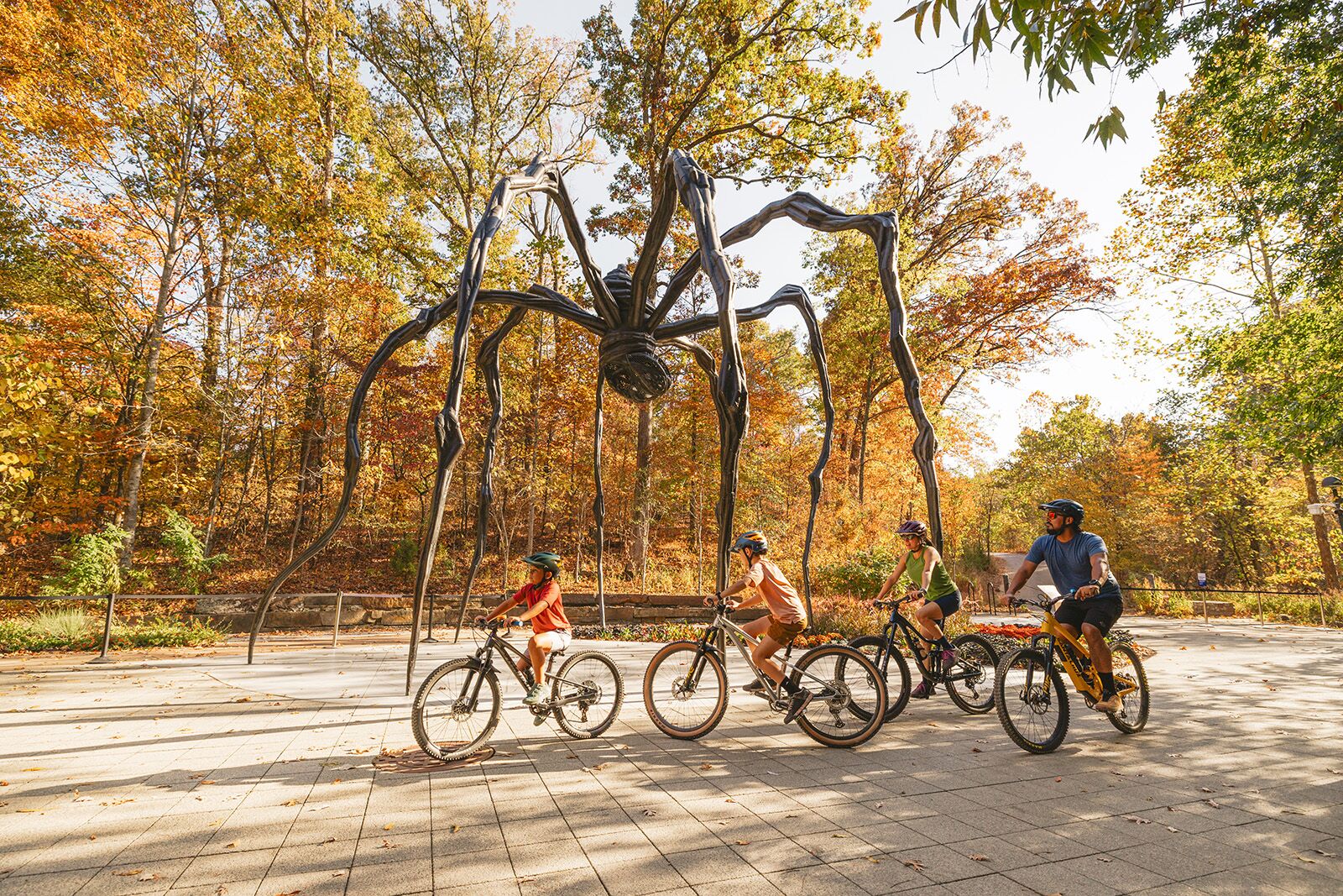 things to do in northwest arkansas