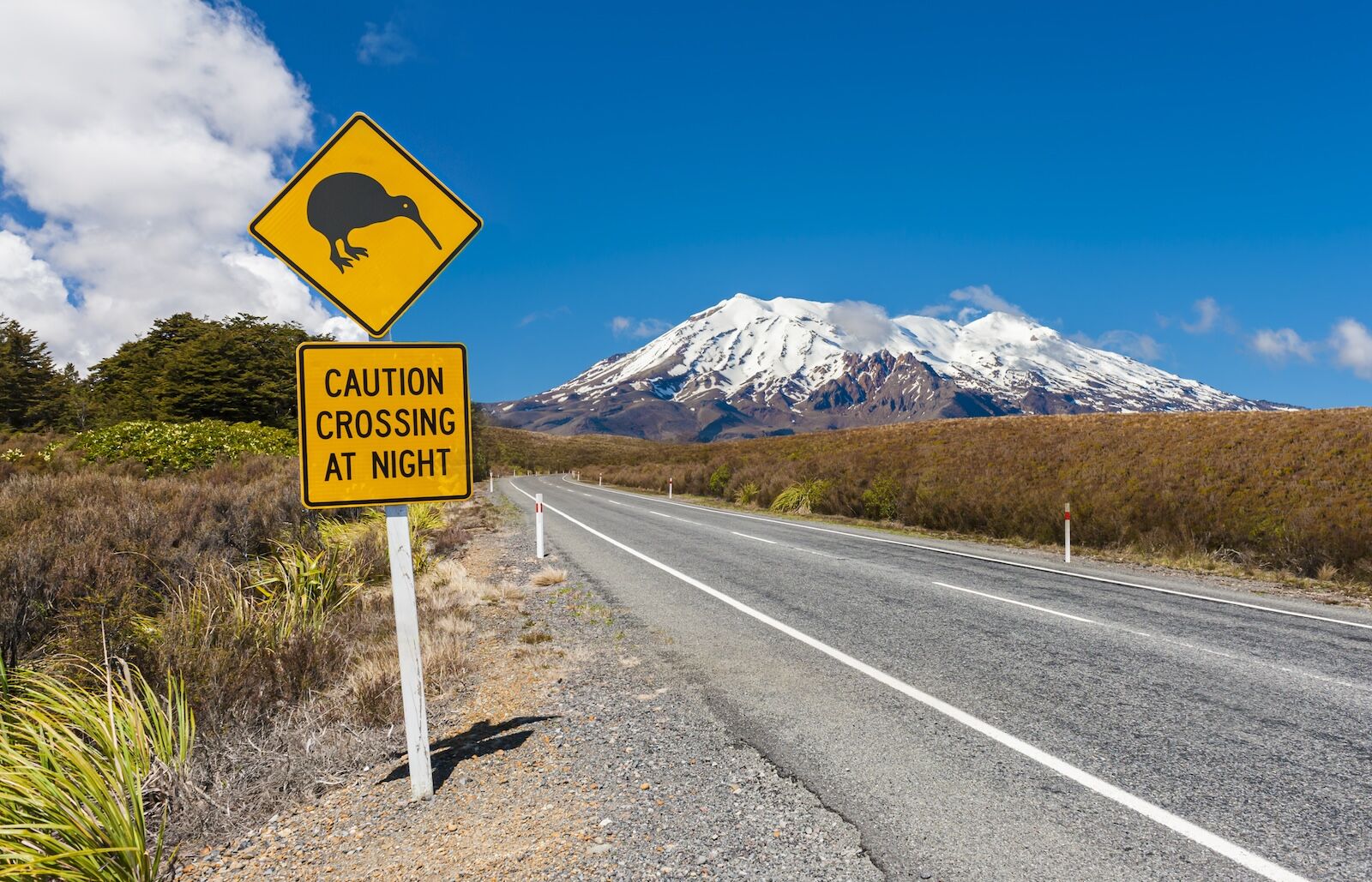kiwi conservation new zealand - kiwi crossing sign