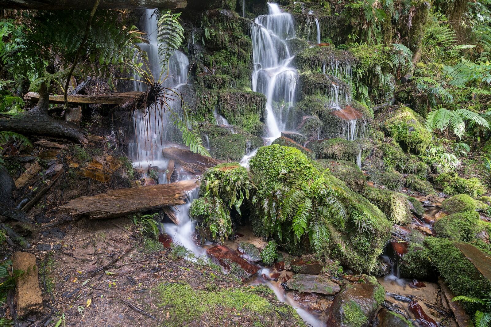 new zealand conservation bill - Whirinaki Forest Park