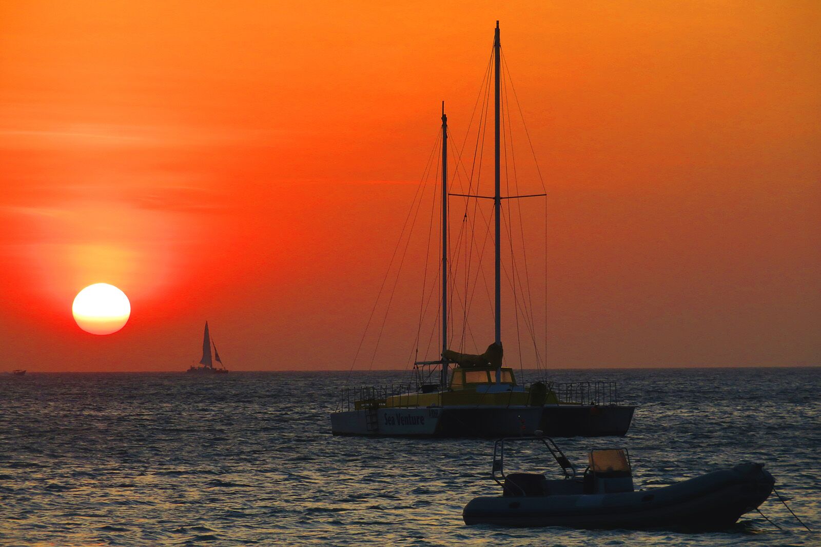 the westerly aruba