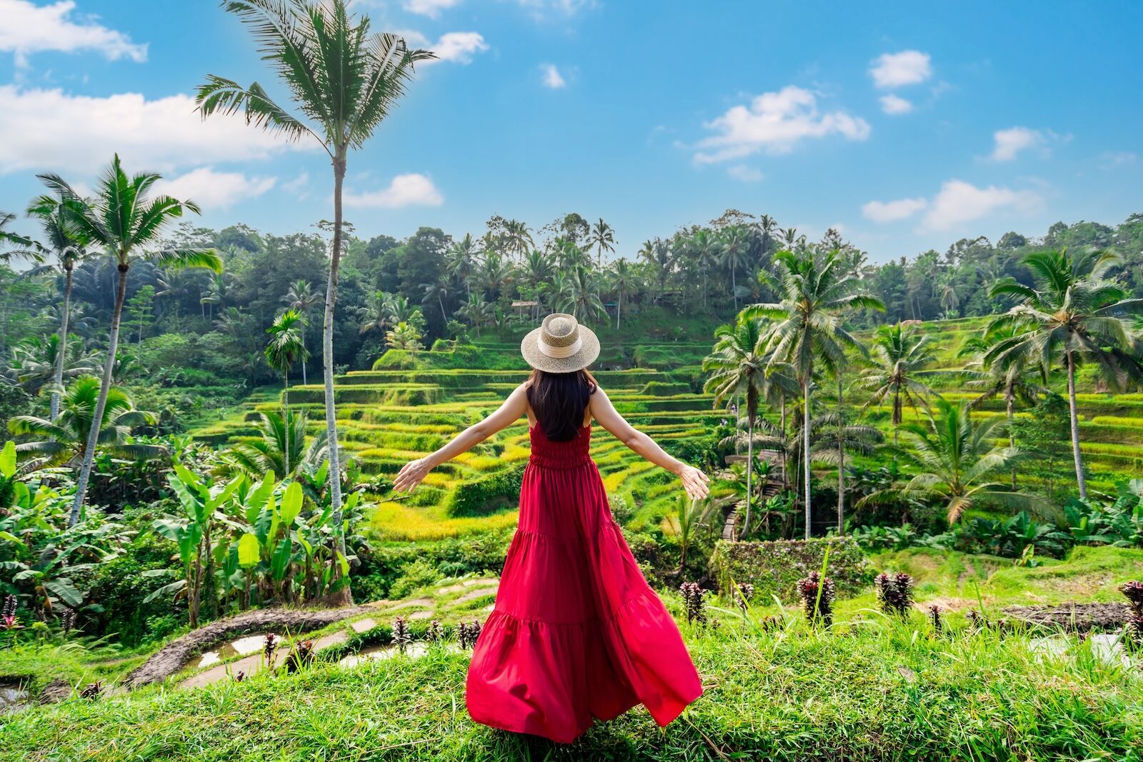 bali influencer rules - ubud terraces
