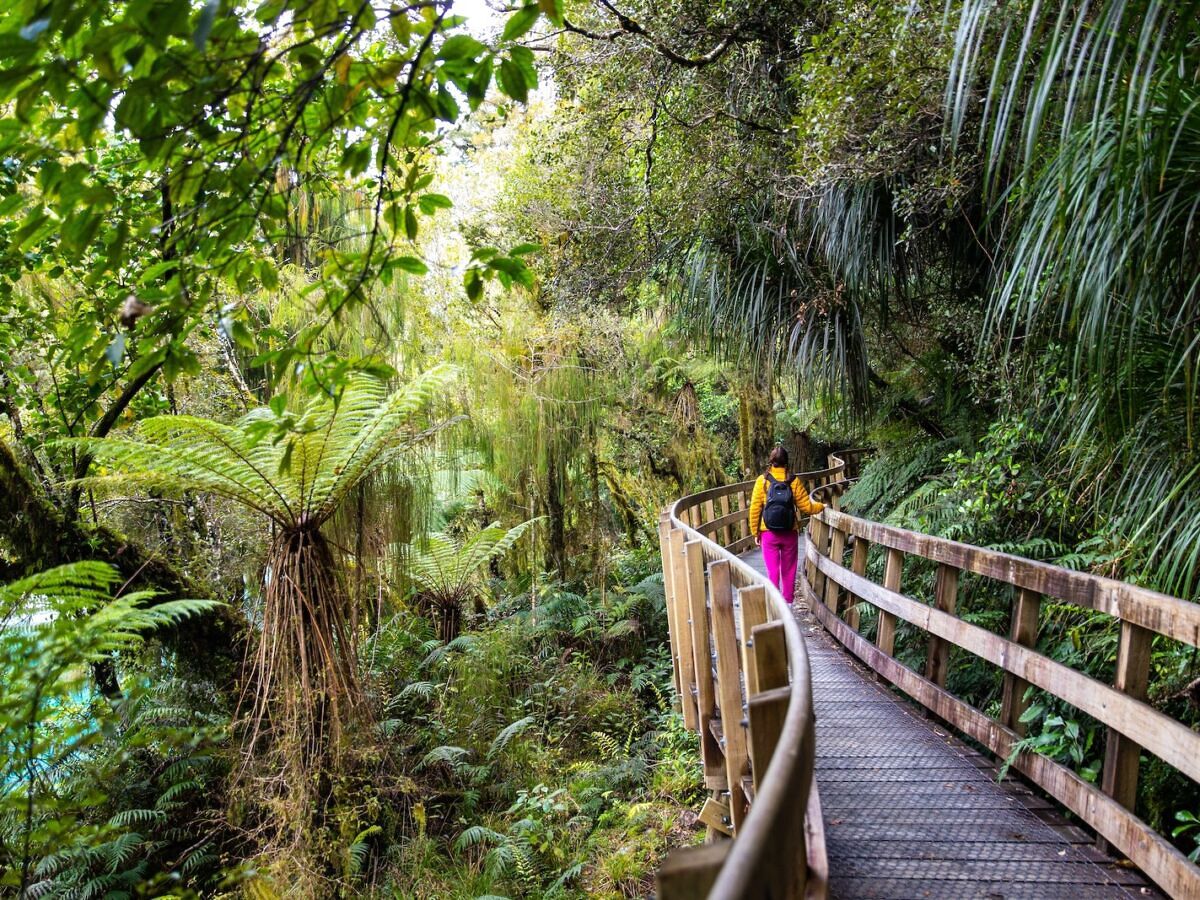 Millions of Acres of New Zealand Public Land Could Soon Be Up for Sale