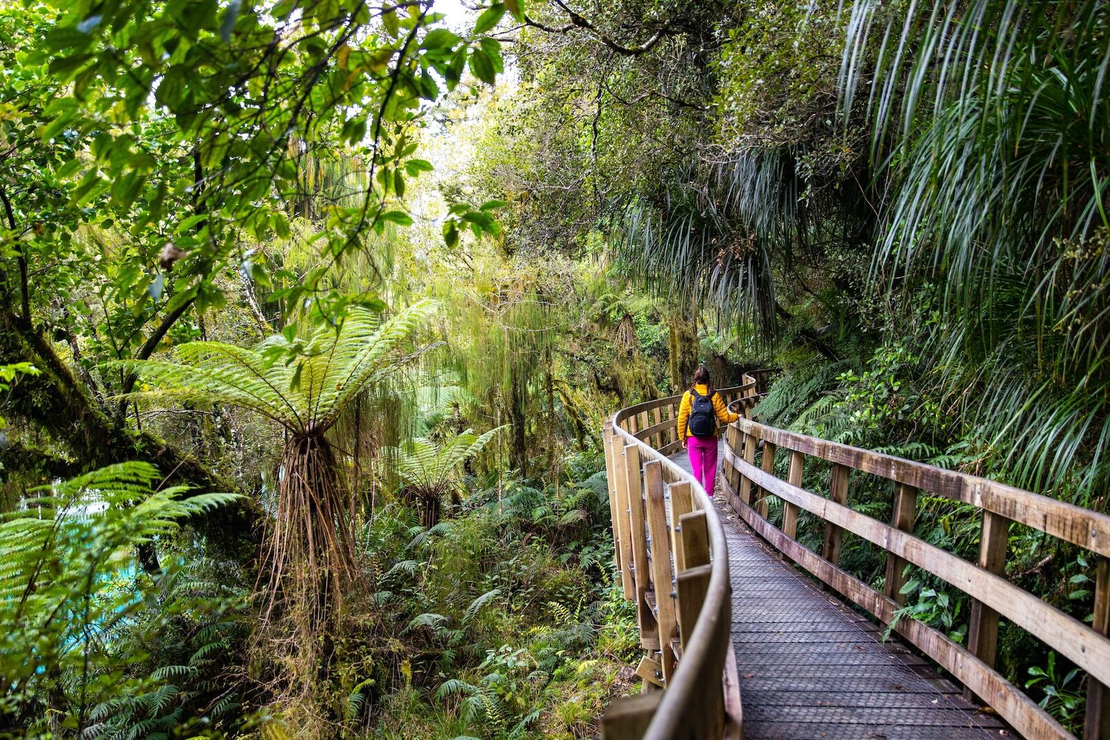 TravelWireDaily — Millions of Acres of New Zealand Public Land Could Soon Be Up for Sale