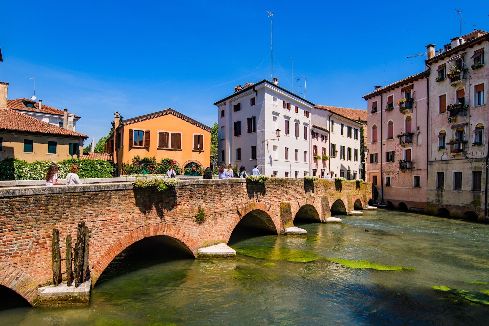 tiramisu 10k run - italy