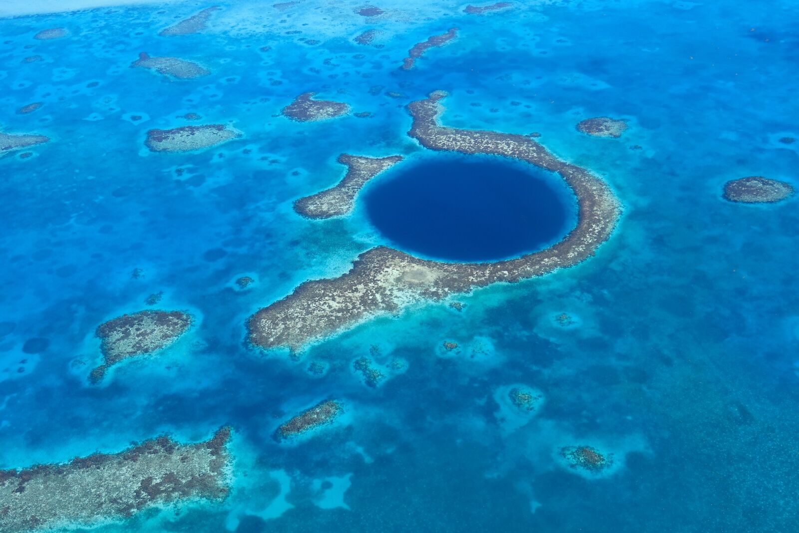 belize dive and reef conservation