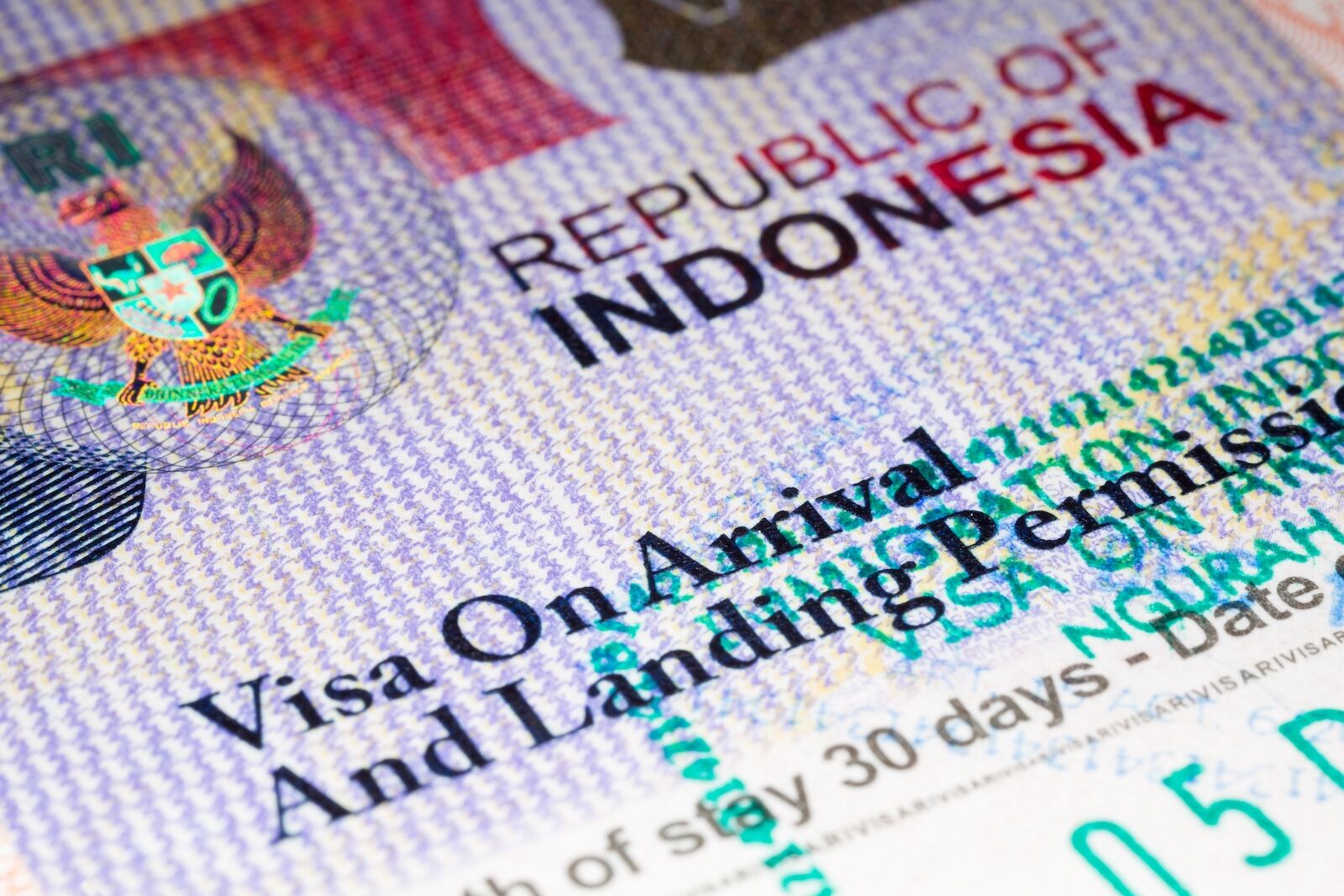 bali influencer rules - visa close up