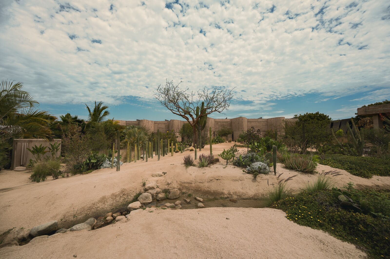 los cabos wellness