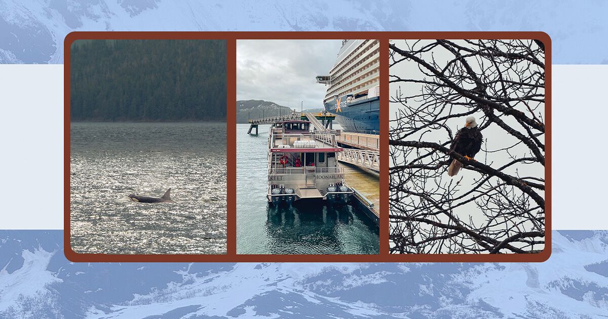 Camera Roll: Orcas, Glaciers, and Eagles on a 7-Day Alaska Cruise