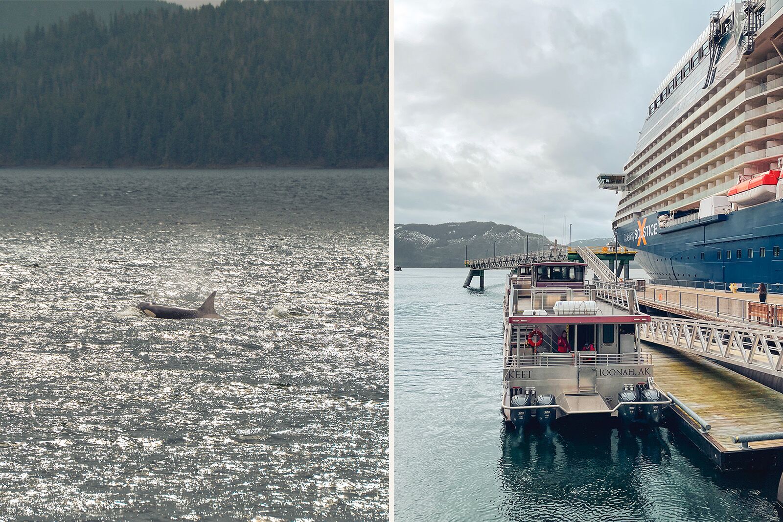 alaska cruise photos
