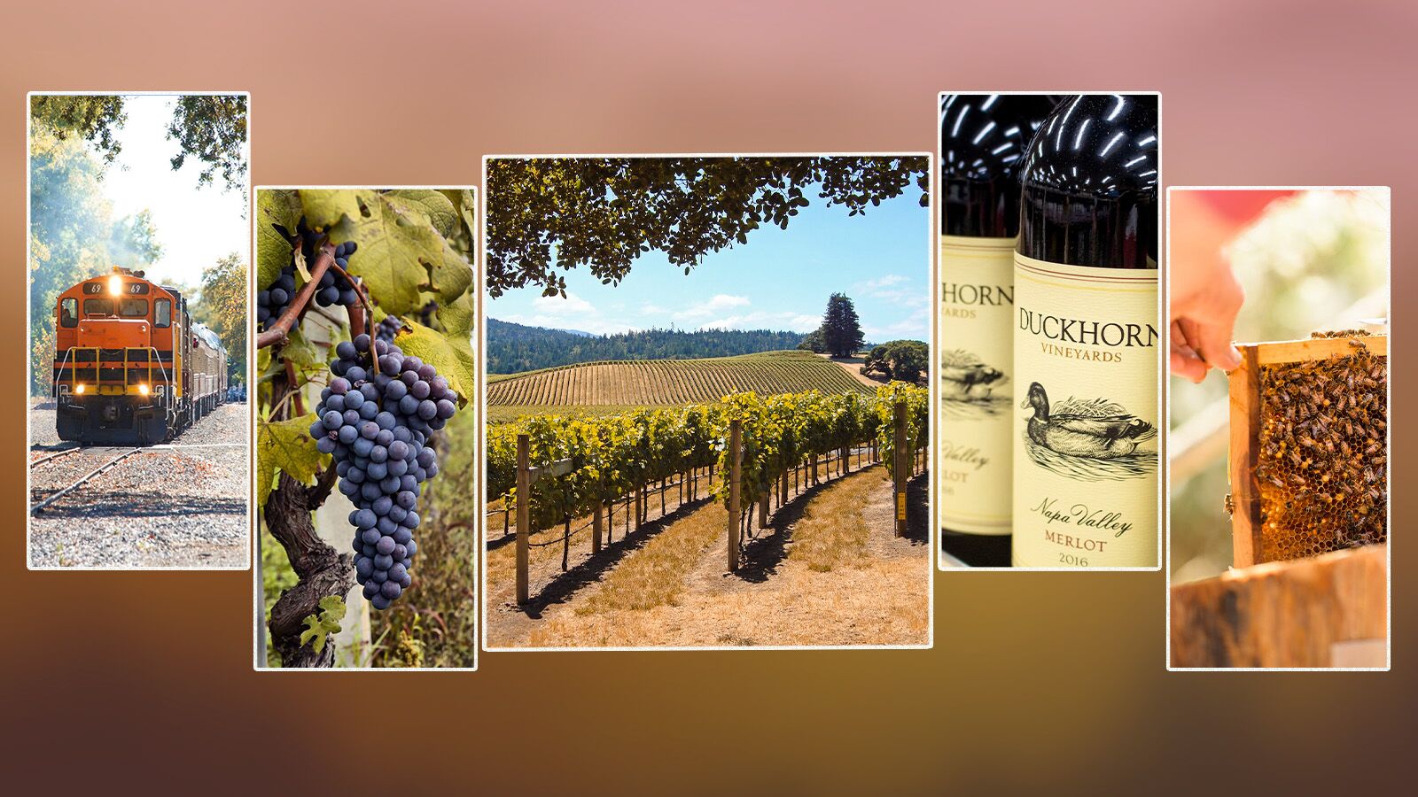 Autumn Travel Guide 2026 festivals and flavors