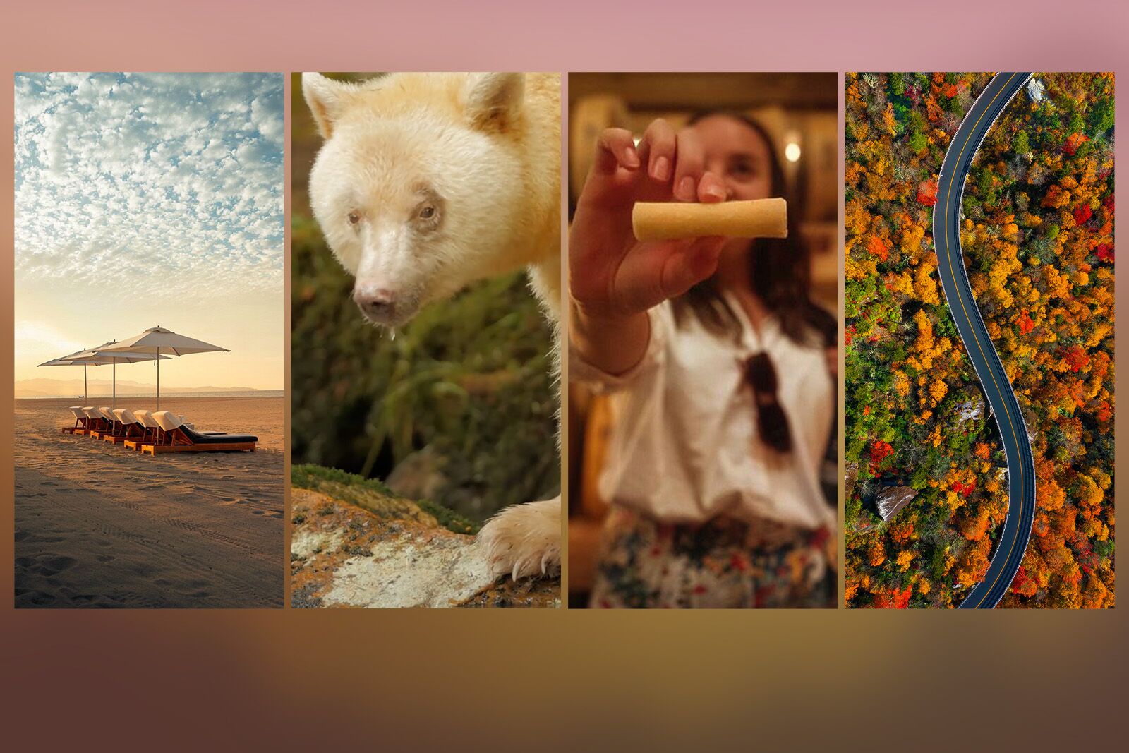 TravelWireDaily — Matador Network’s Ultimate Guide to Where to Travel This Fall
