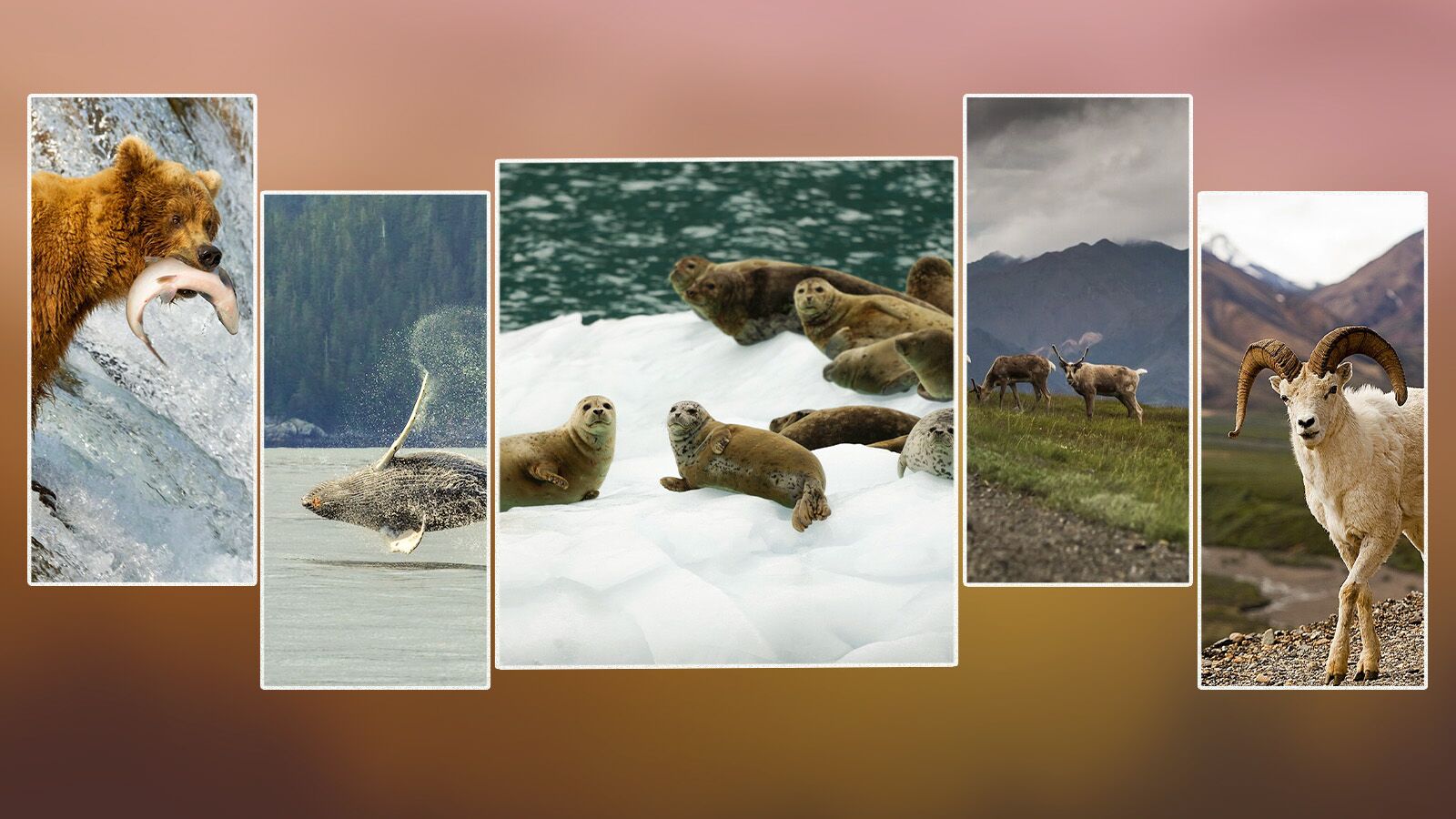 Autumn Travel Guide 2026 wildlife