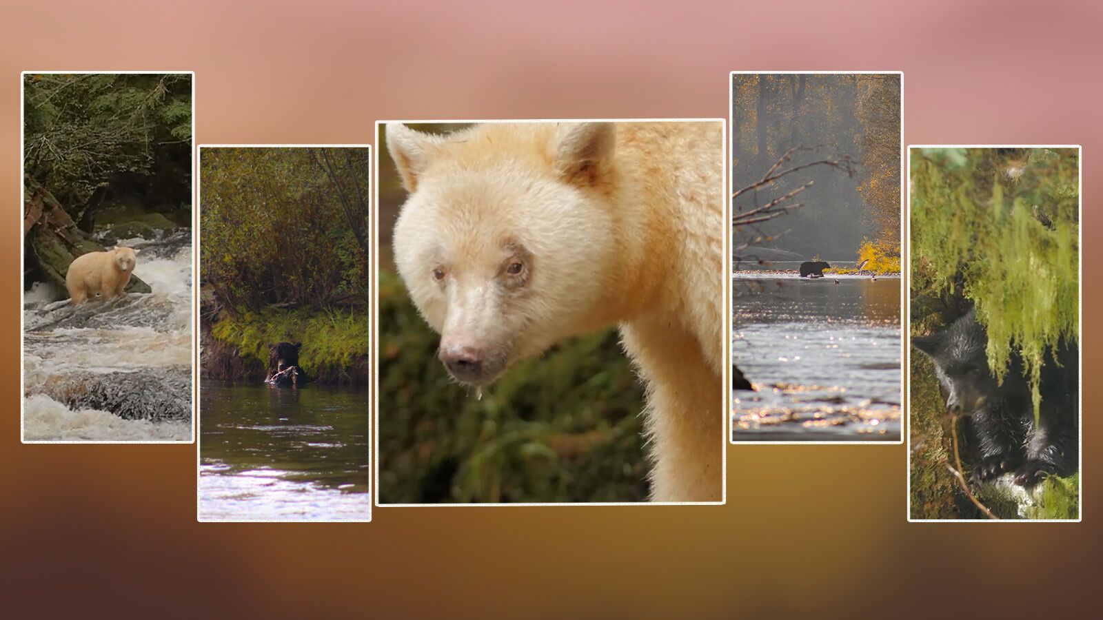 Autumn Travel Guide 2026 wildlife
