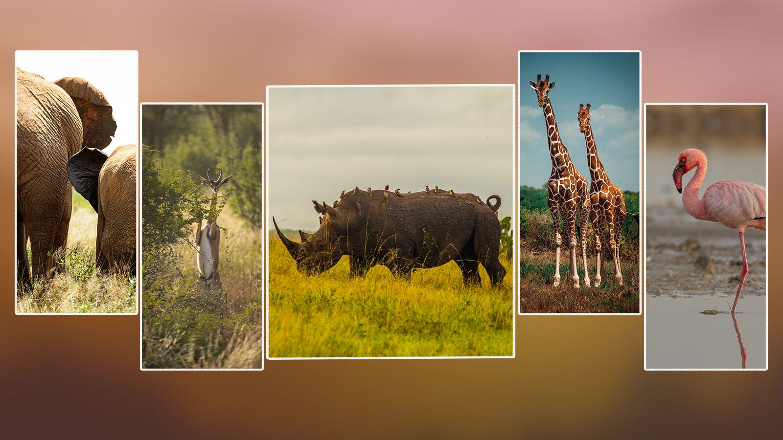 Autumn Travel Guide 2026 wildlife