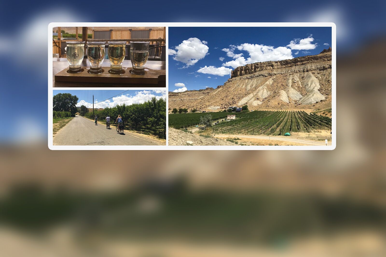 How to bike the Fruit and Wine Byway