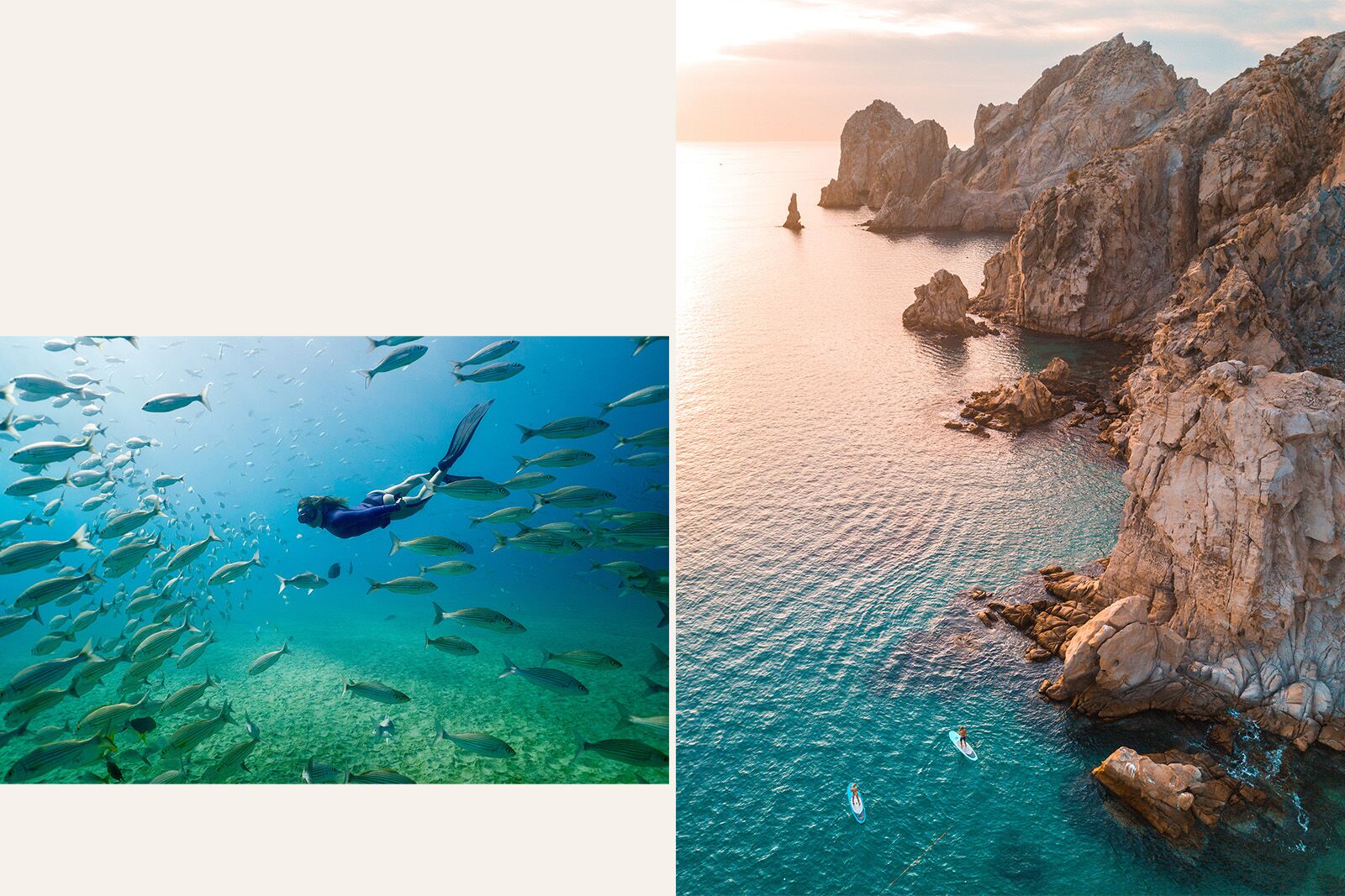 los cabos wellness