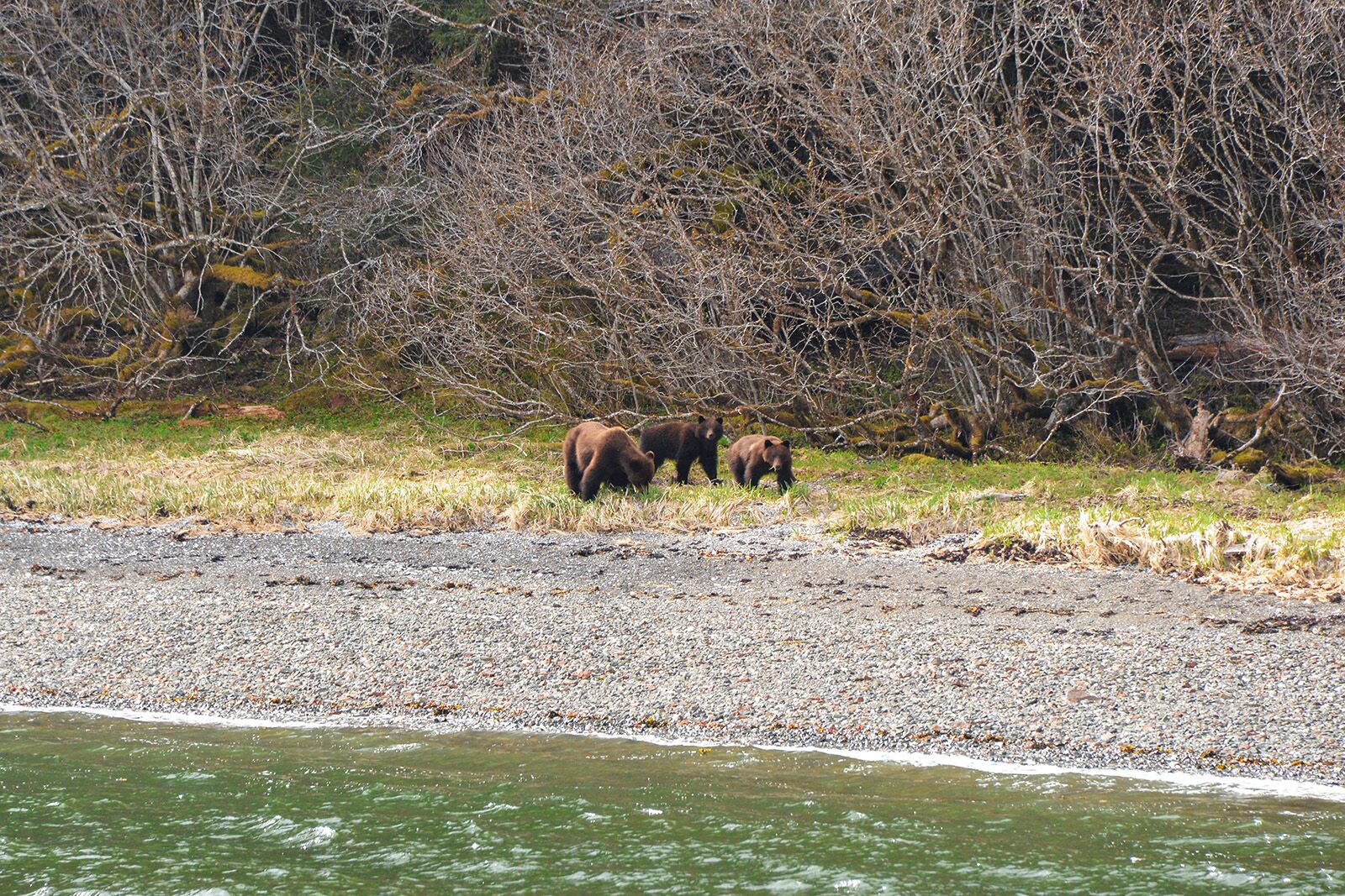 alaska cruise photos