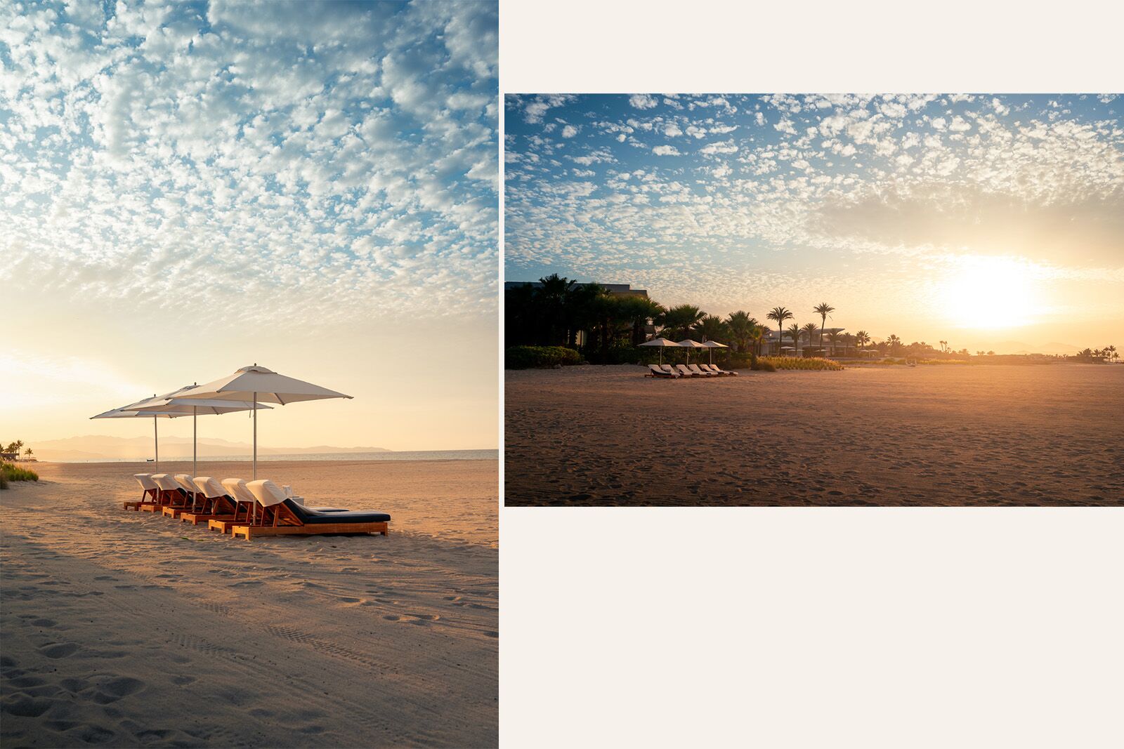 los cabos wellness