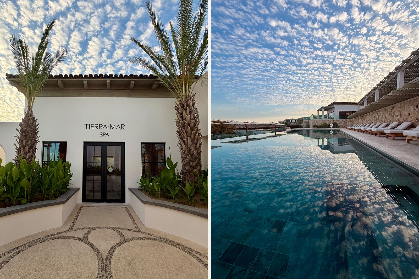 los cabos wellness