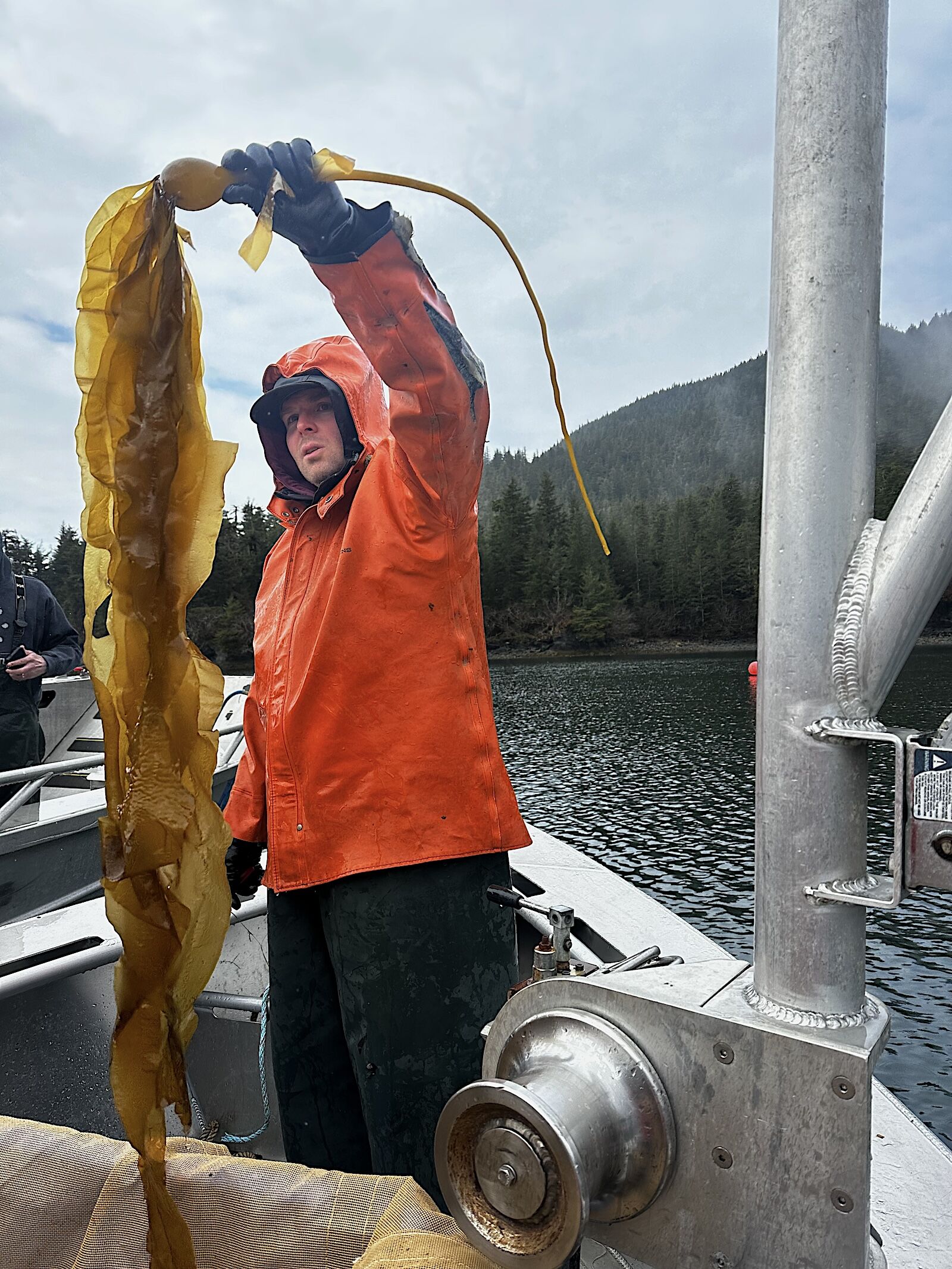 cordova alaska kelp farmer