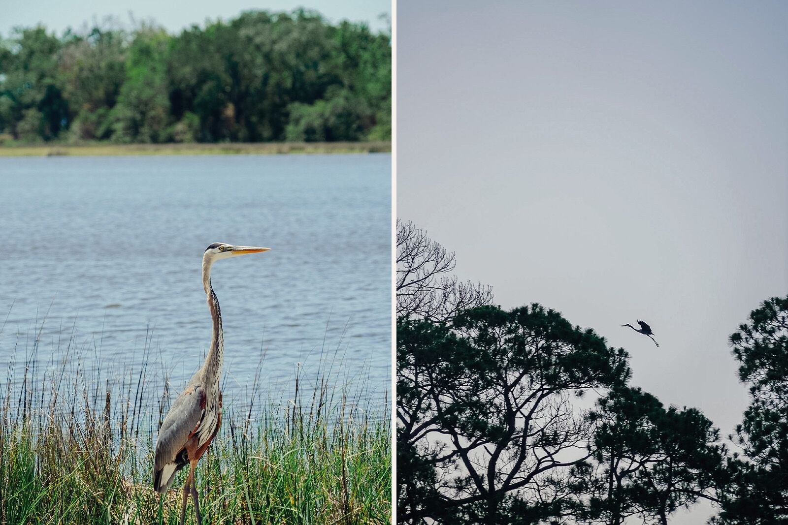Mississippi Gulf Coast Travel