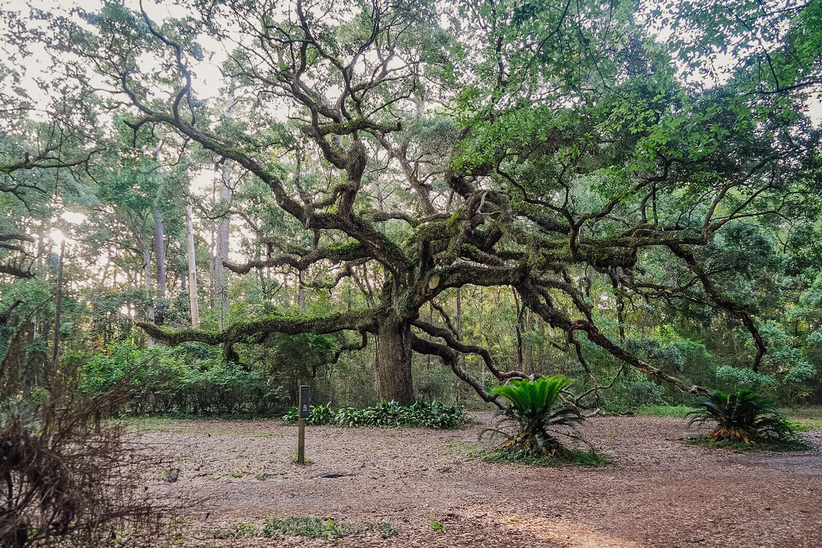 Mississippi Gulf Coast Travel