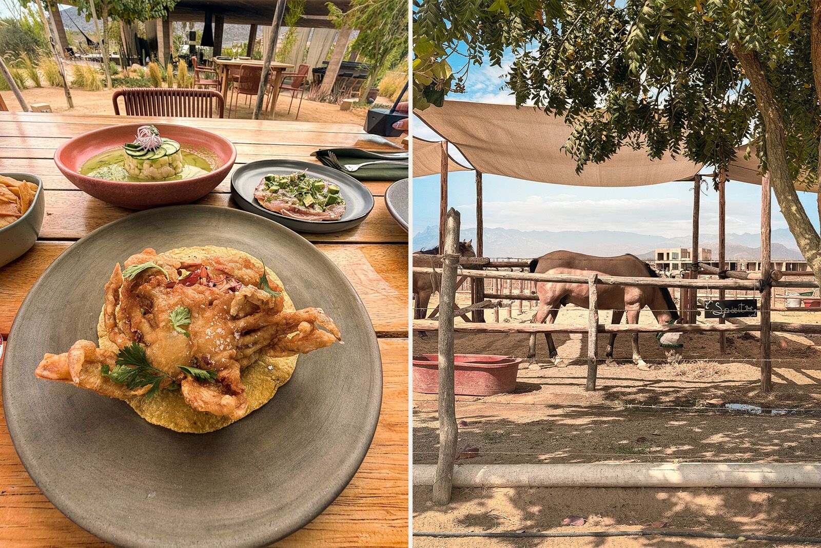 paradero todos santos