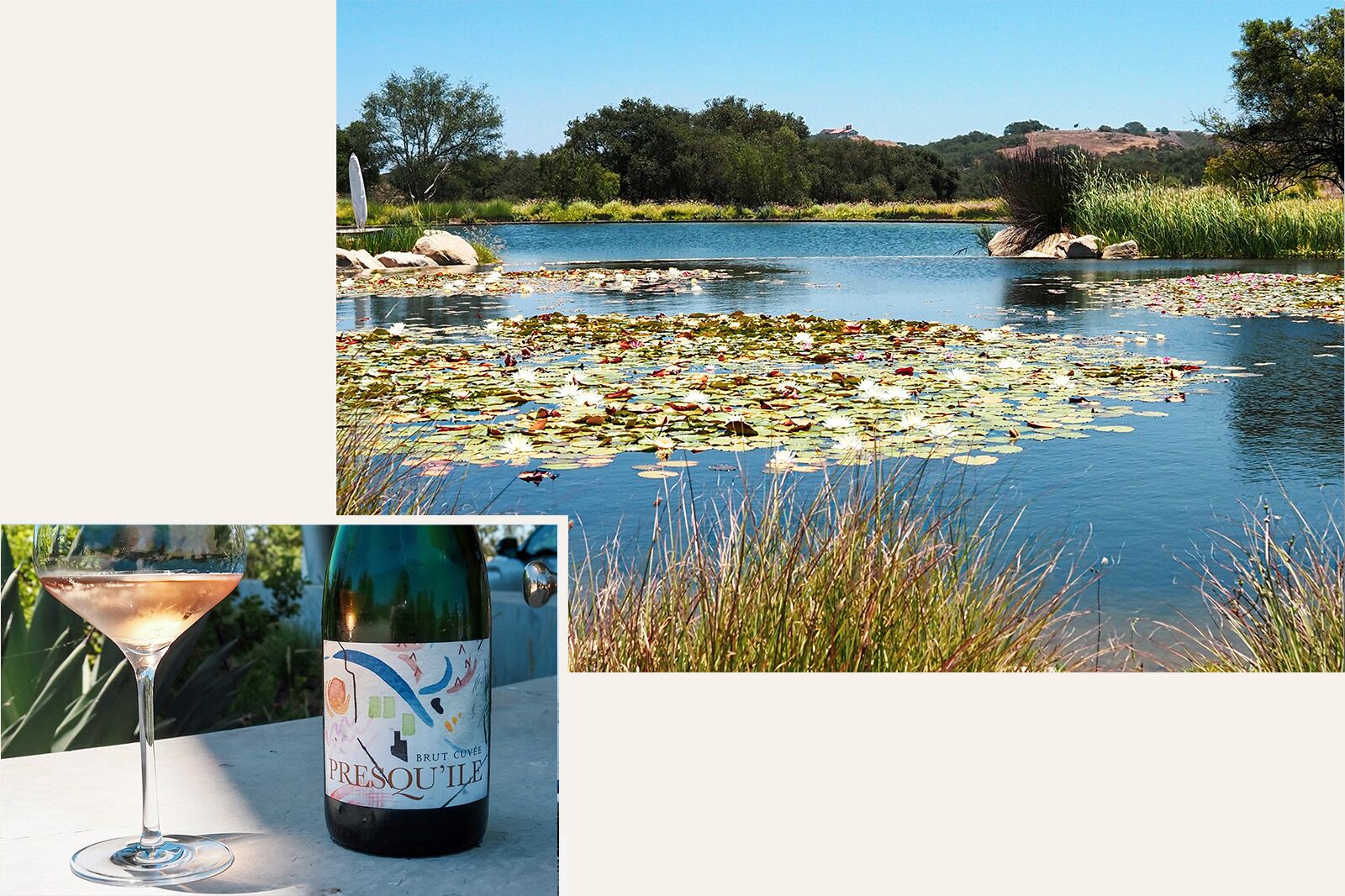 santa barbara wine country