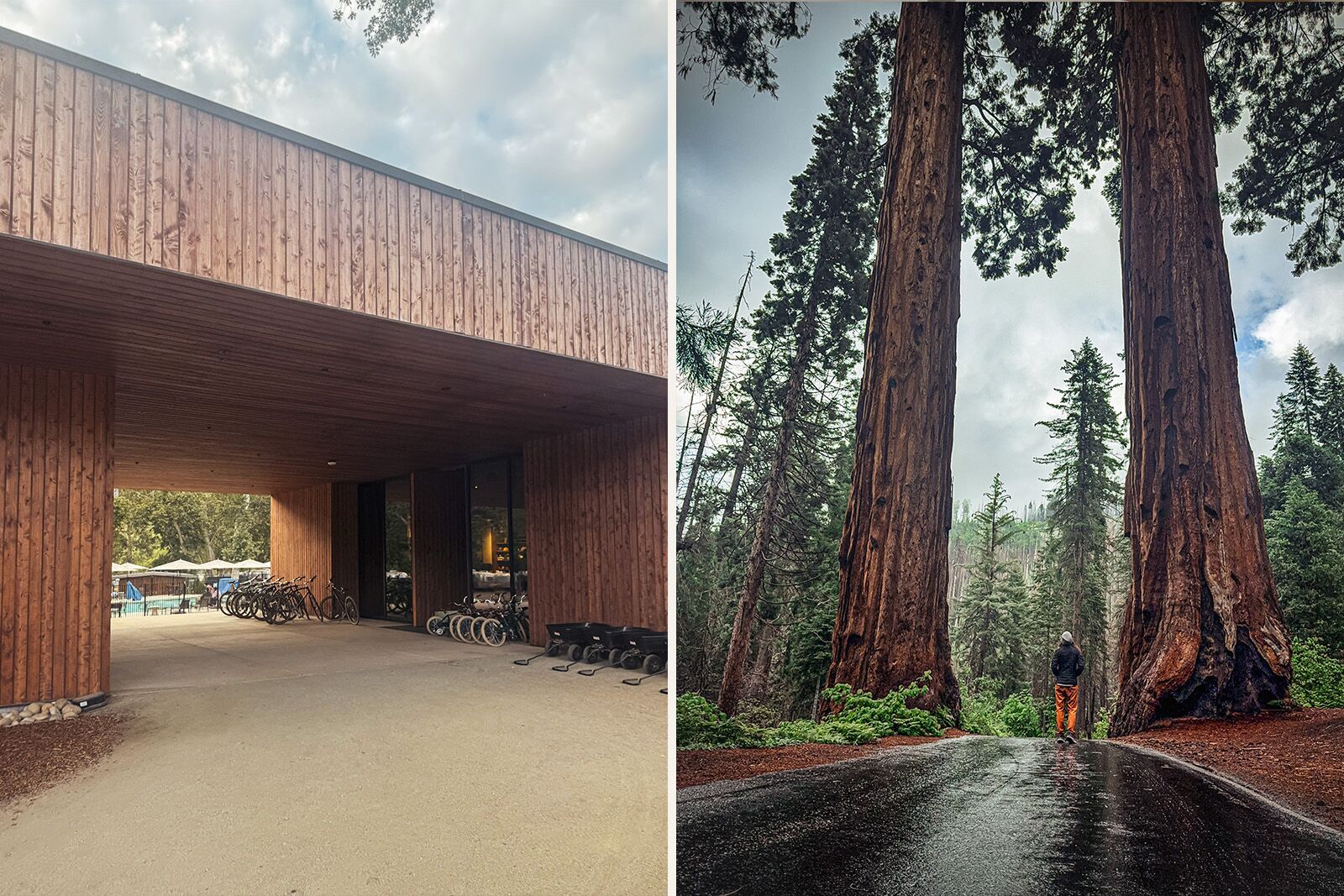 sequoia auto camp