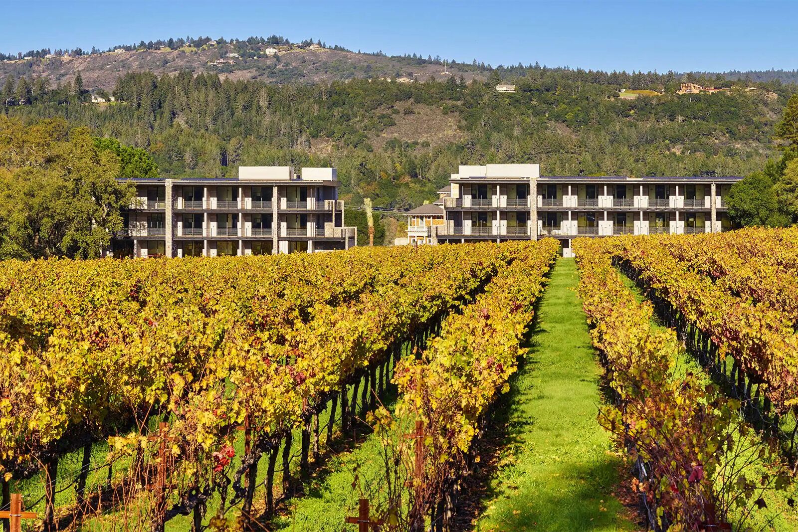 alila napa valley