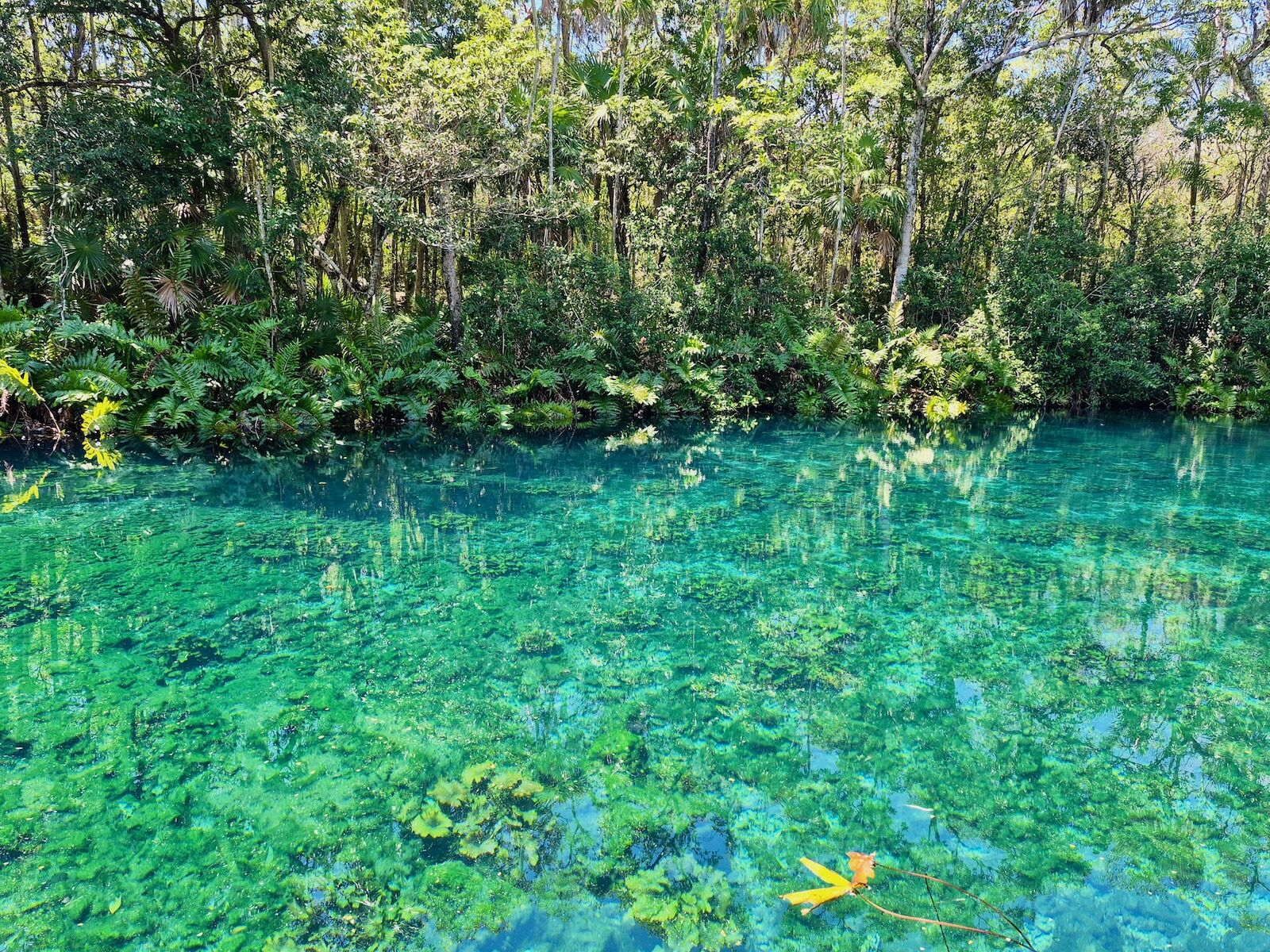 tankah cenotes in mexico