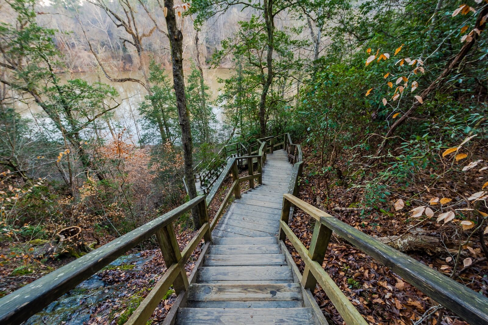 raven rock state park north carolina roadtrip