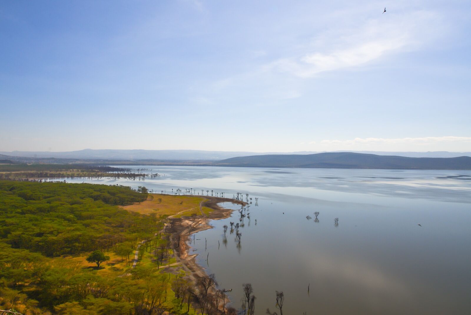 lake nakuru flamingos -empty lake