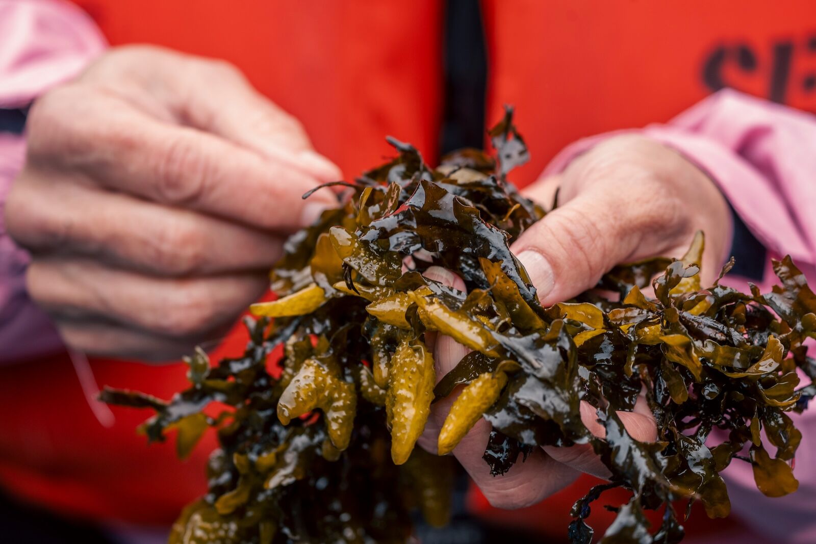 TravelWireDaily — The Best Seafood Trip in Alaska Isn’t About Salmon