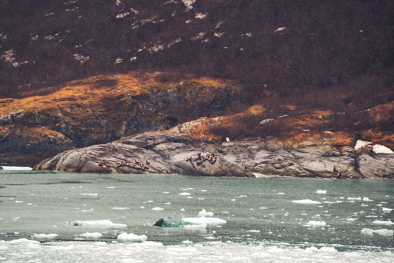 alaska cruise photos