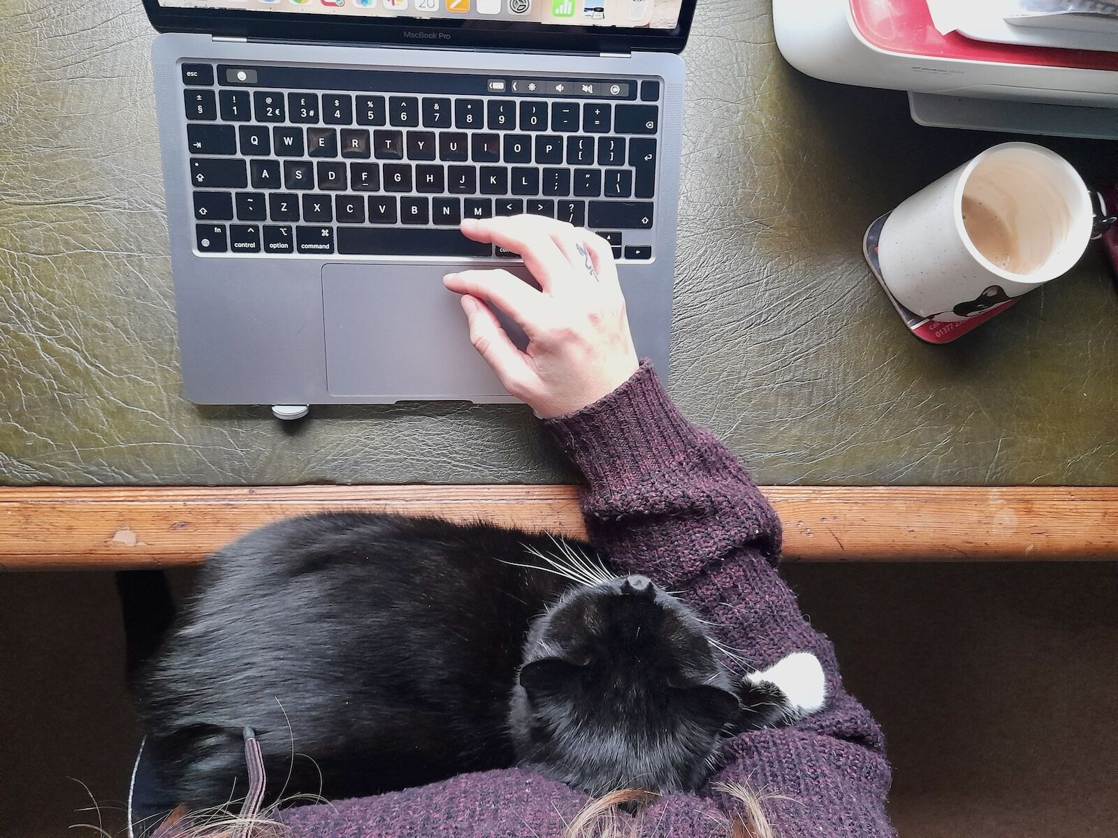 I’ve Visited Six Countries by Offering Pet-Sitting Services. Here’s Why It’s Ideal for Travelers.