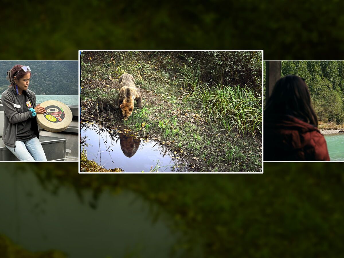 Bears, Whales, and the People Who Kept the Coast Alive