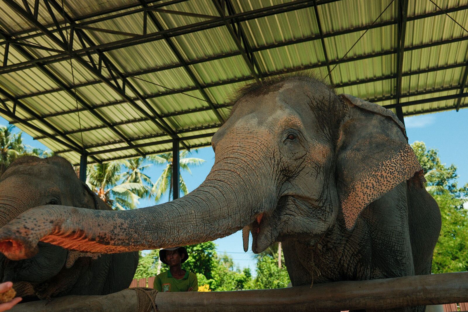 wellness in thailand