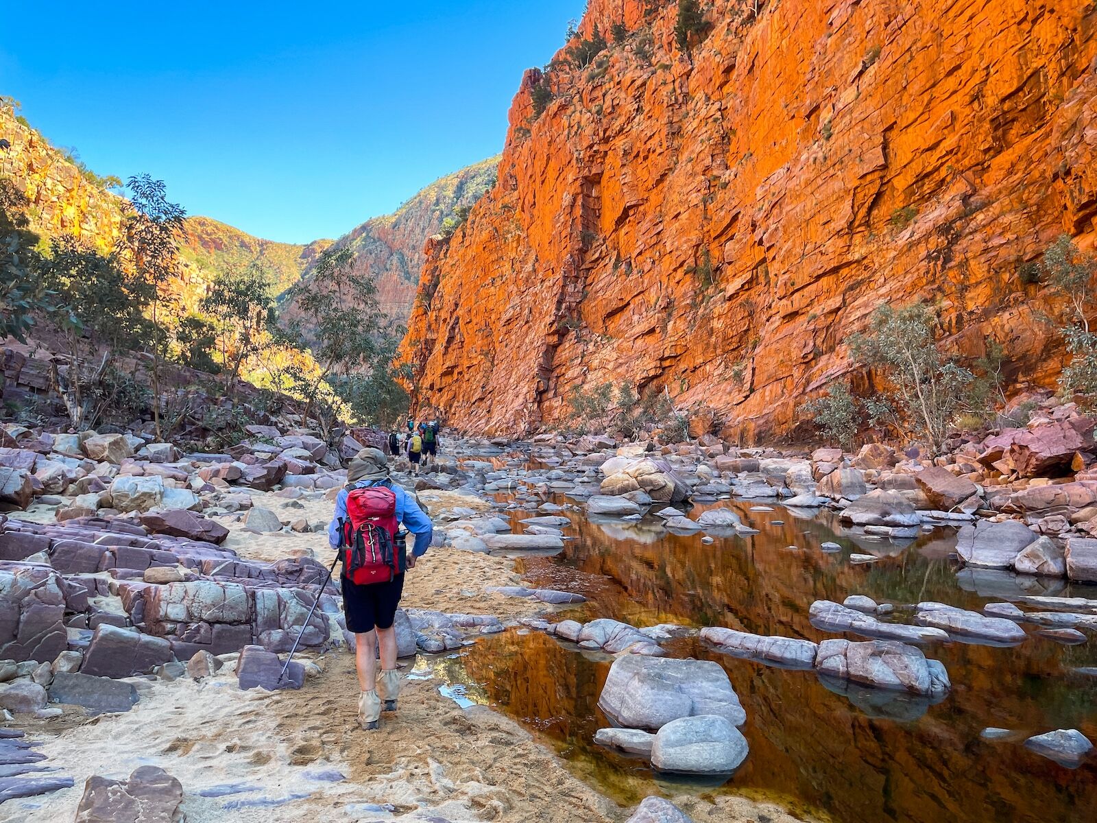 Larapinta Trail - hiker in ormiston gorge 