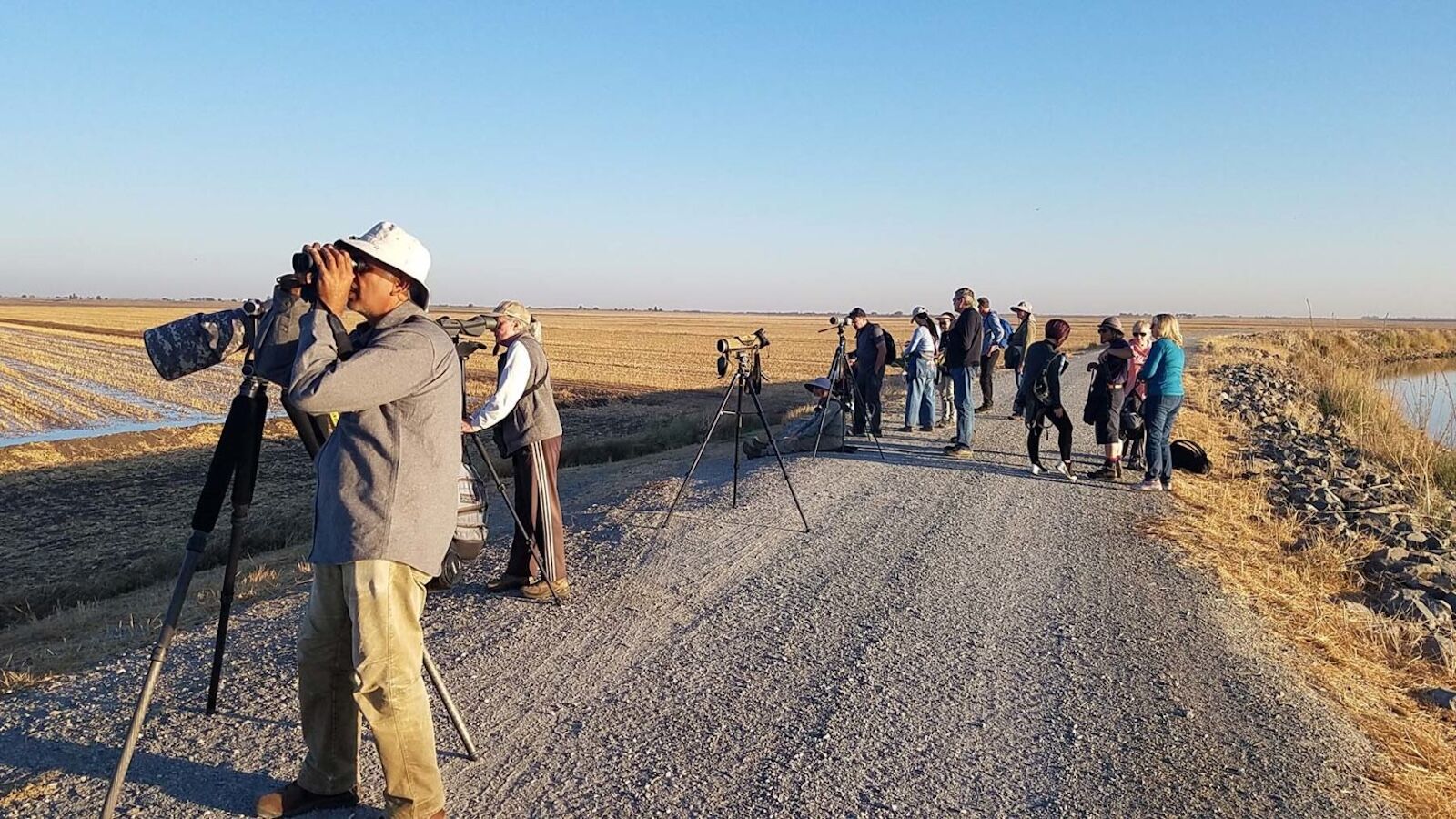 Lodi sandhill crane photographers at staten island