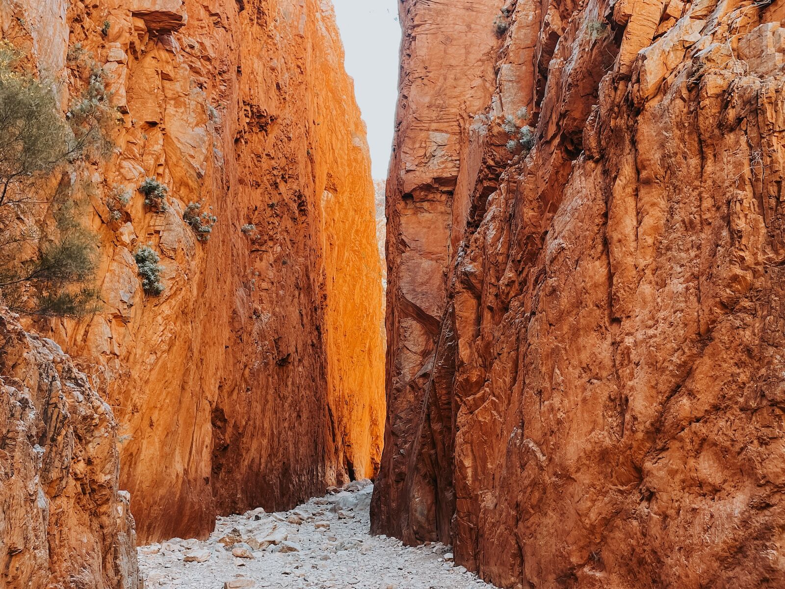 Standley Chasm - Larapinta Trail 