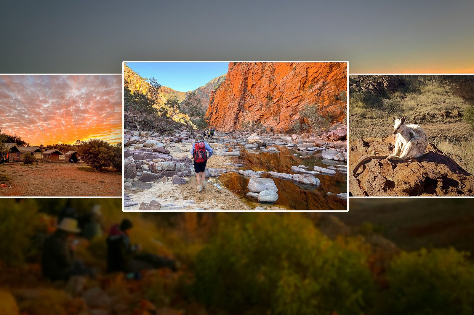 TravelWireDaily — I’m Not a Backpacker, but I Spent 6 Days Walking Through the Outback