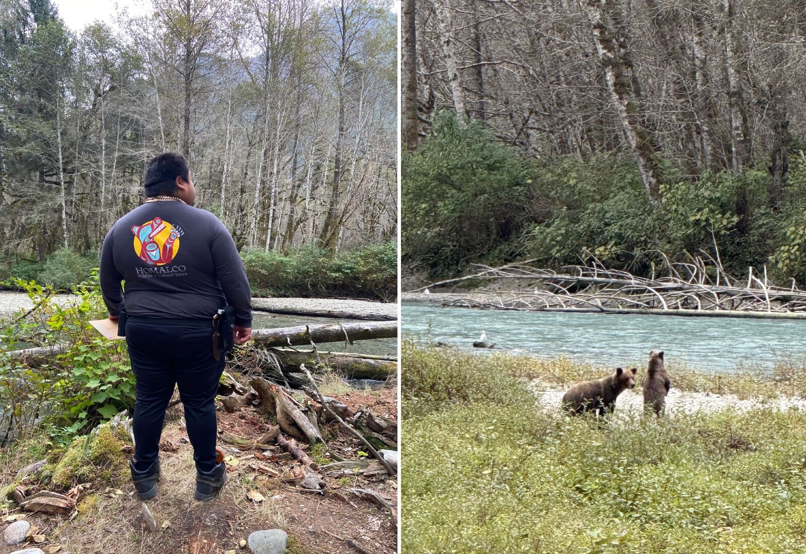 vancouver island wildlife - Kalvin bear guide