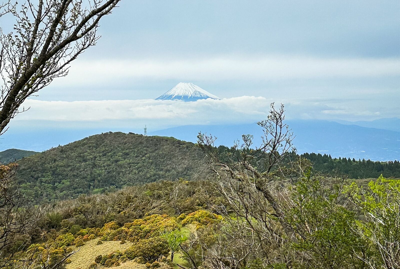 japan walking tours - view of mount fuji