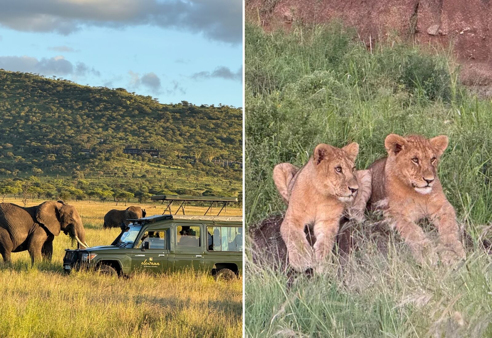 what is luxury travel? tanzania safari