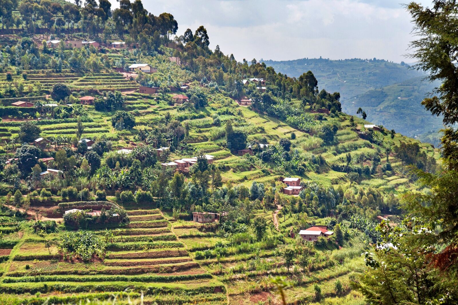 Rwanda: Beyond the Headlines, a Journey of Resilience and Community