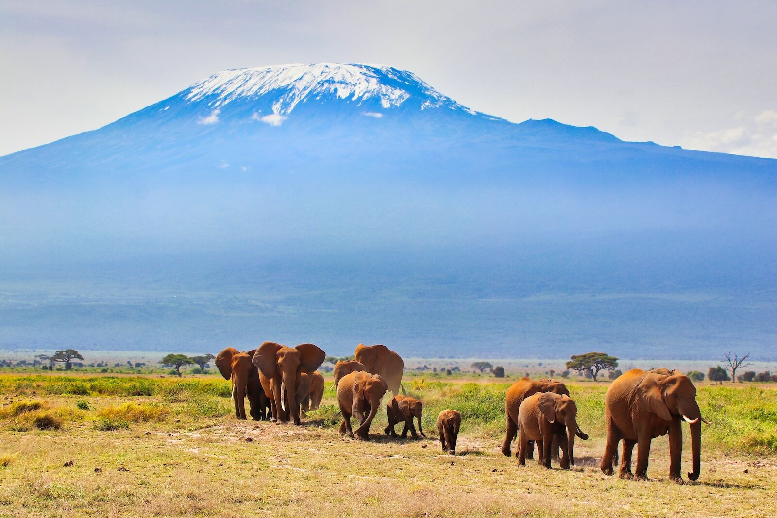 amboseli national park - kenya in the fall